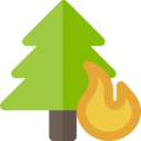nature,burning,flammable,forest fire,burning tree,conflagration